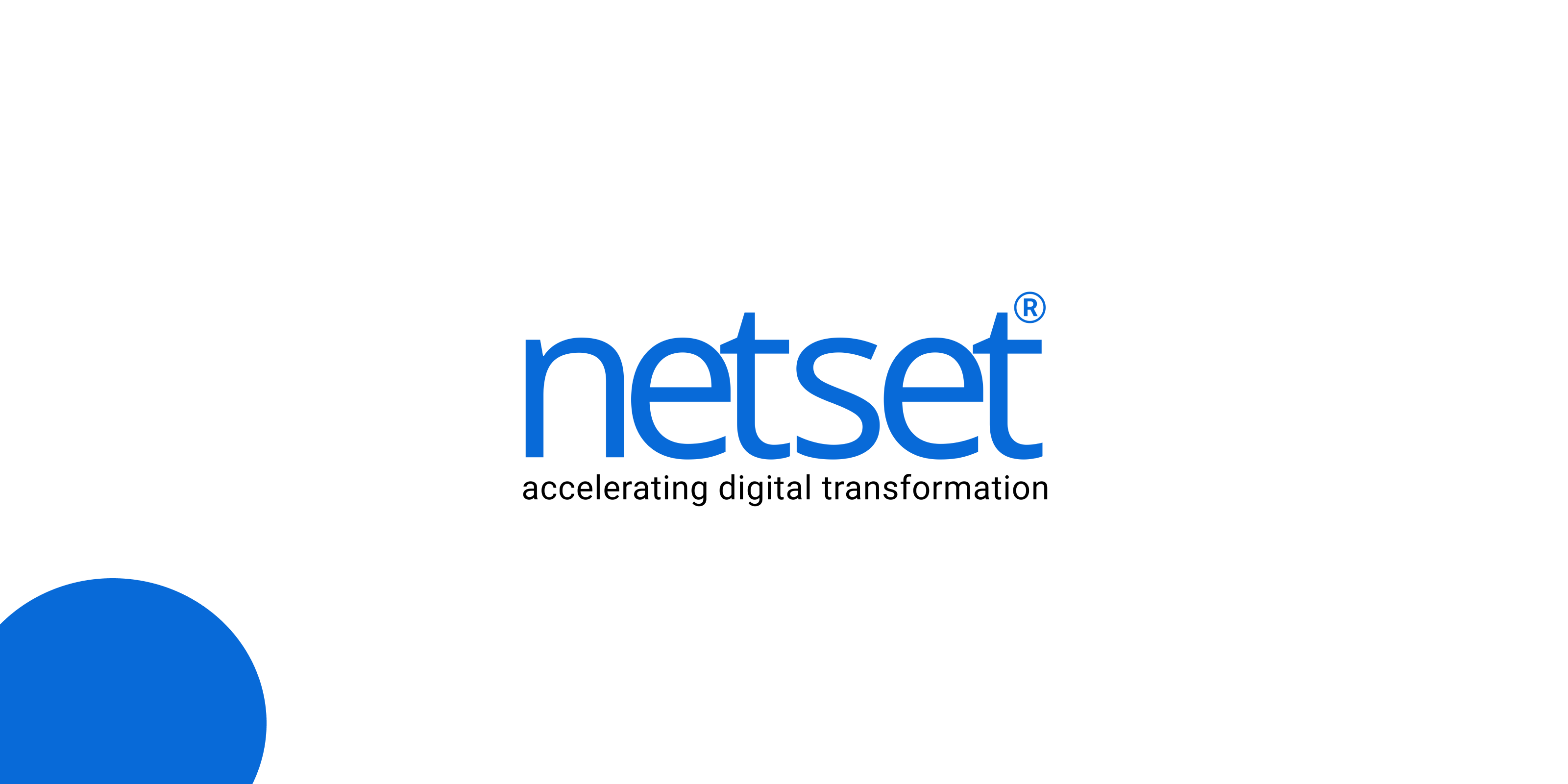 Logo Of NetSet Software Solutions